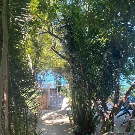 Проживание в семье Mala Laguna *